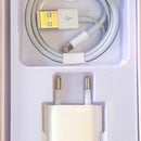 Câble Lightning vers USB et adaptateur secteur USB 5 W